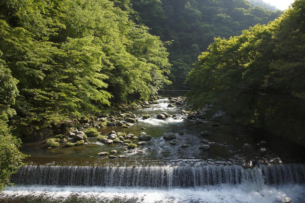 Fukuzumiro Hotel Hakone Cameră foto